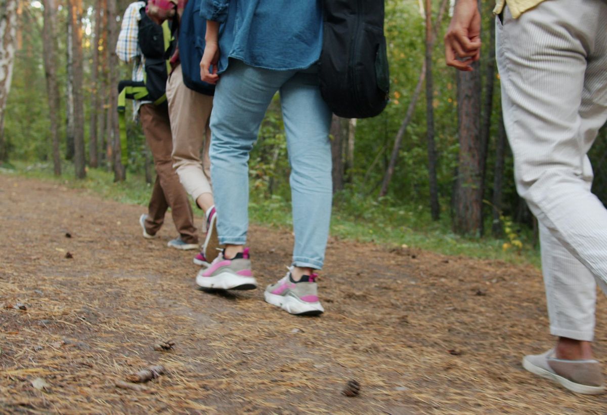 Erdőfürdő - stresszoldó séta a természetben - Helló Erdő - vezetett erdei tematikus séták