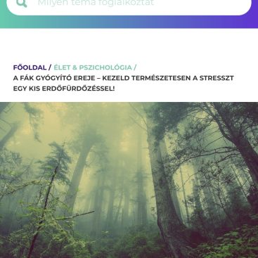 A fák gyógyító ereje - Hello Erdő