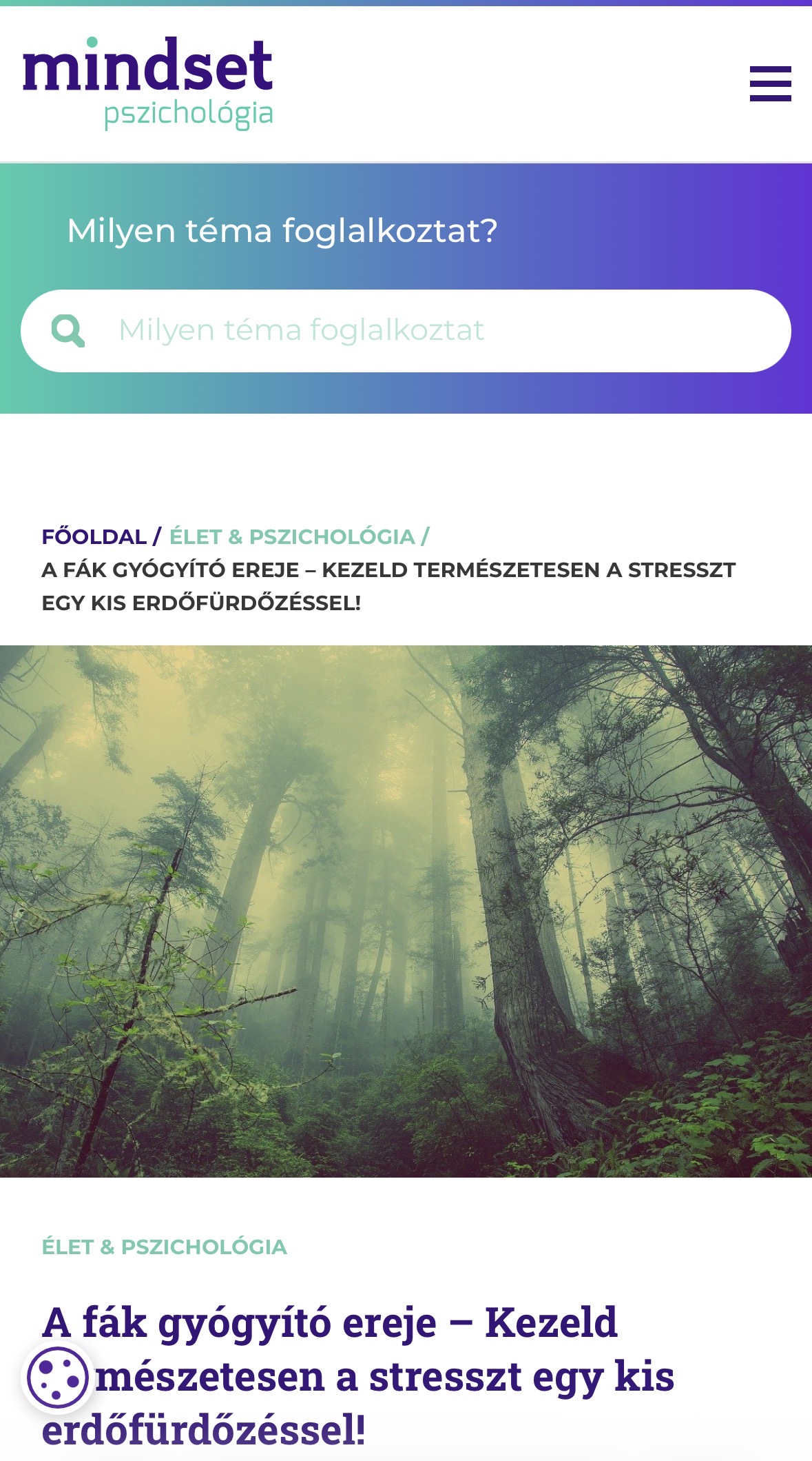 A fák gyógyító ereje - Hello Erdő