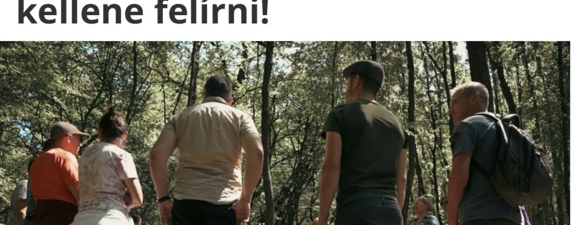 Az erdőfürdő kapcsolat az emberen túli világhoz, mindenkinek receptre kellene felírni! - Hello erdő