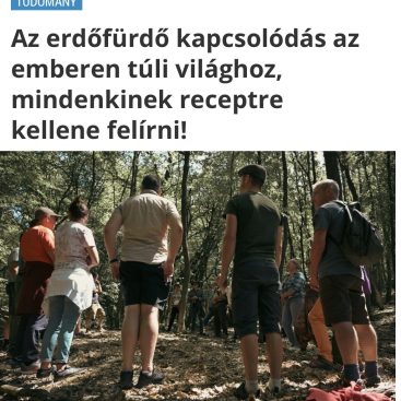 Az erdőfürdő kapcsolat az emberen túli világhoz, mindenkinek receptre kellene felírni! - Hello erdő