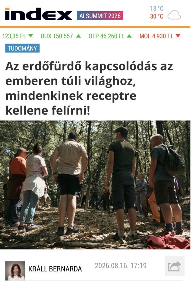 Az erdőfürdő kapcsolat az emberen túli világhoz, mindenkinek receptre kellene felírni! - Hello erdő